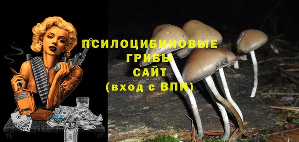 apvp Армянск