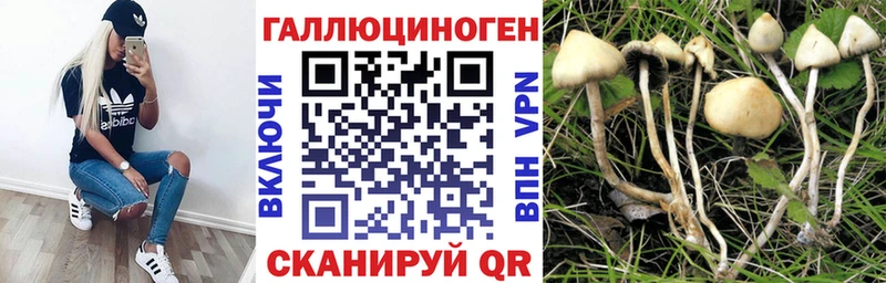 Купить закладки  Елизаветинская  Галлюциногенные грибы мухоморы 